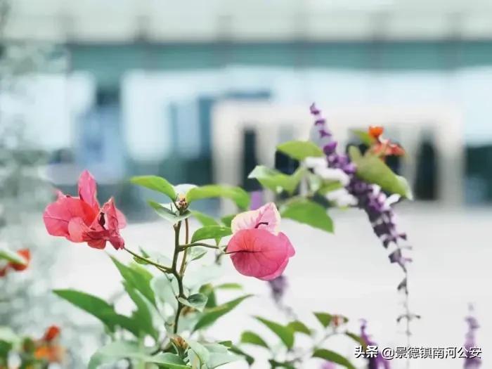 女宝宝起名宋词怎么起名(求头条高人赐名)