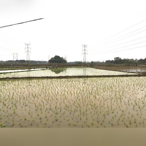 河南联丰农业怎么样