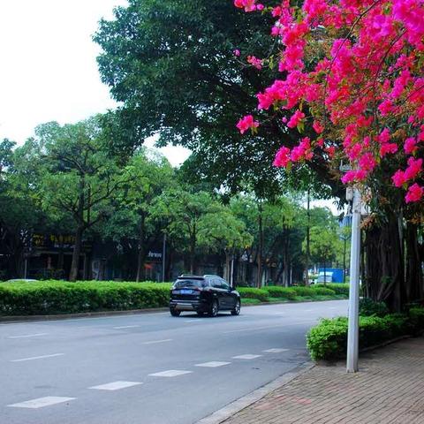 南宁市绿城公司怎么样啊