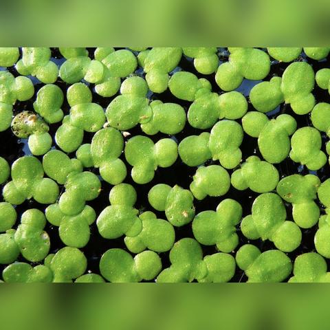 【天津大学别名】相关长尾关键词有哪些