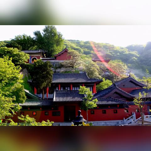 苏州菜临沂市哪里有卖