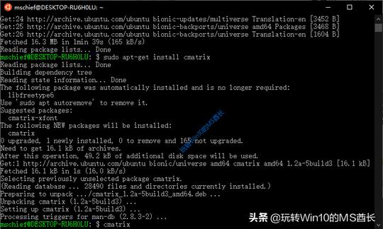 「神装b」win10linux子系统运行黑客帝国代码雨