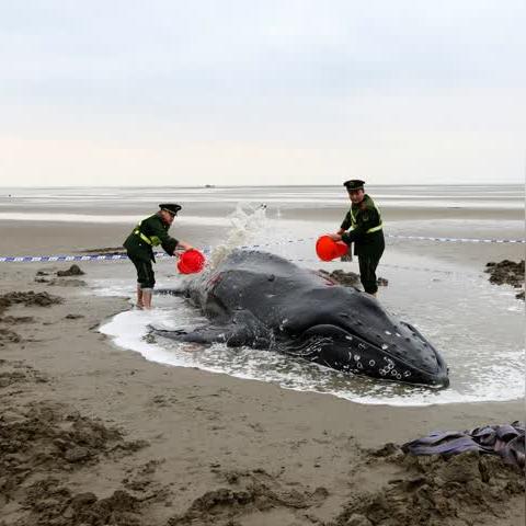 南通哪里的海滩好玩长尾关键词有什么