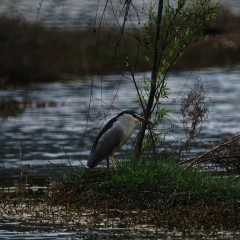 成都市的东湖公园在哪里