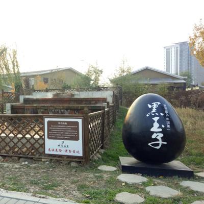 沈阳天沐池洗浴大保健相关长尾关键词有哪些