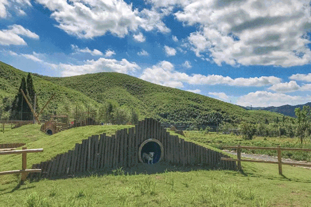 这个被低估的冷门赏秋地，私藏绝美红枫林，60亩萌宠田园营地