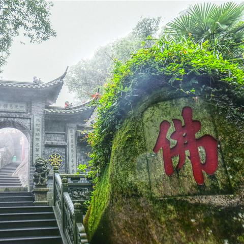 福建公交车怎么样便宜