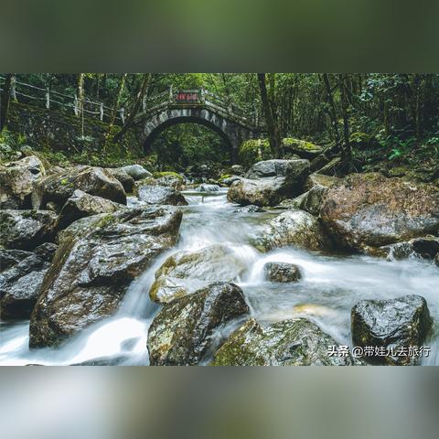 温州市泰顺特产的长尾关键词有哪些