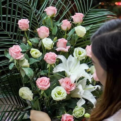 武汉市适合养什么花