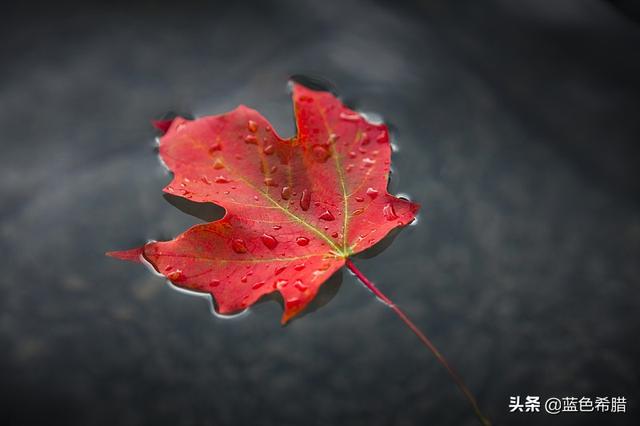 2019秋天发的伤感唯美的说说 2019秋天发的伤感唯美的说说