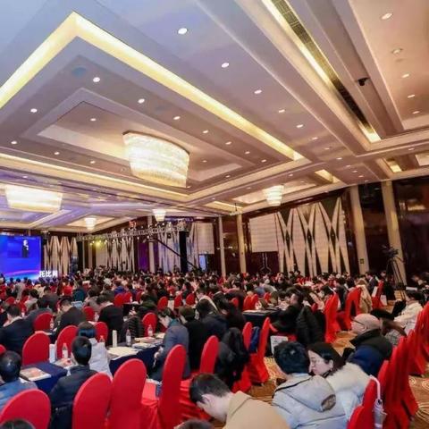 宁波市以什么产业为主