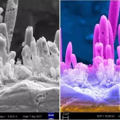 哈尔滨市去离子水多少钱