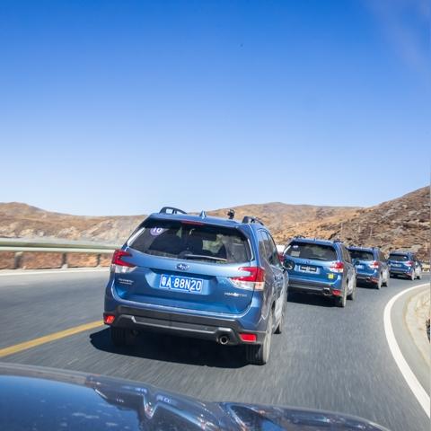 196国道起点终点？