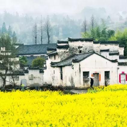 杭州的雨季一般在什么时候开始？