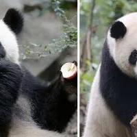 南宁动物园好玩吗的相关长尾关键词有哪些