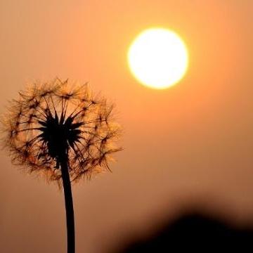 tiktok业务怎么样