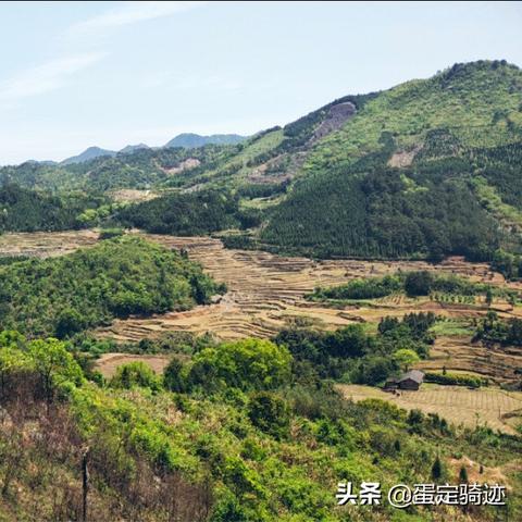 佛山市医院看鼻子怎么样