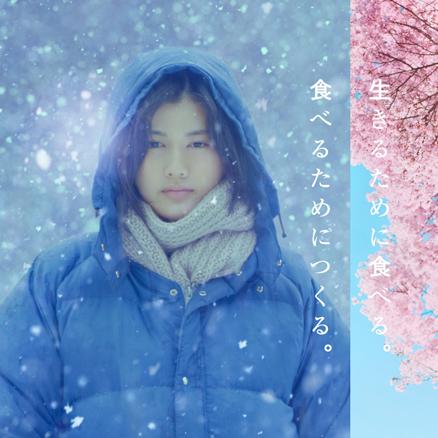 盘点上海日出相关关键词有哪些