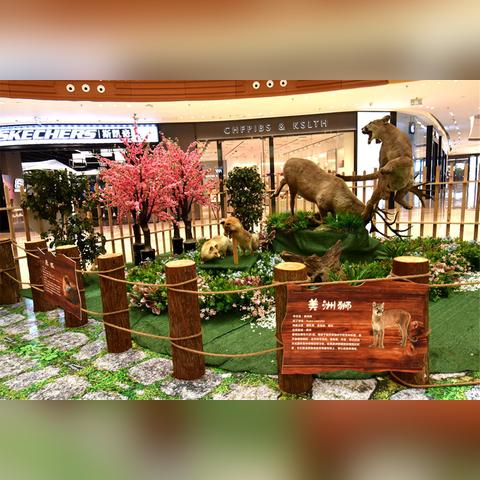 桂林有什么野生动物？