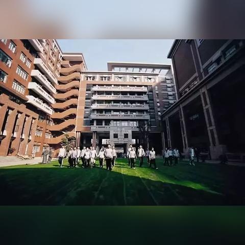 盘点上海新王牌相关关键词有哪些