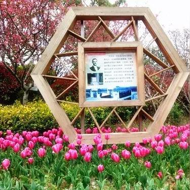 南通市啬园面积大约是多少