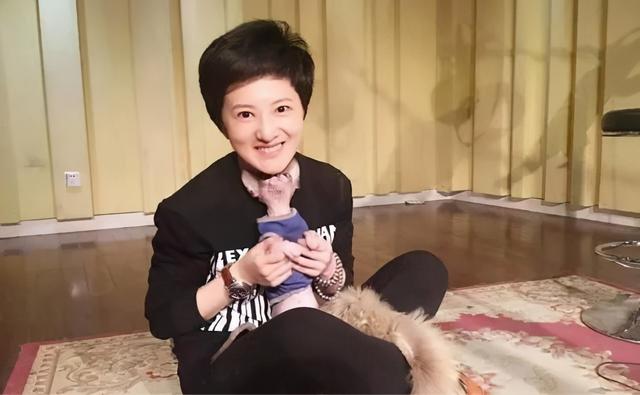 三岁多的孩子天天都问为什么怎么办