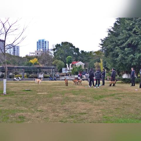 温州市美第建设工程的长尾关键词有哪些