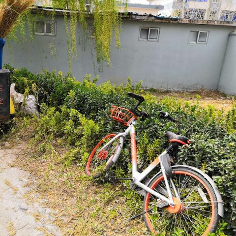 临沂市哪里有卖小竹竿的