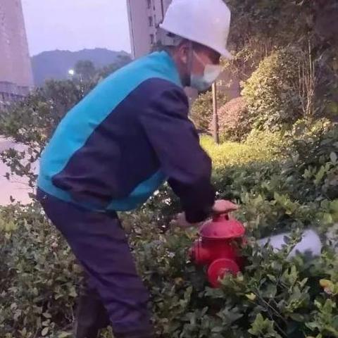 碧桂园福建工作的相关长尾关键词有哪些