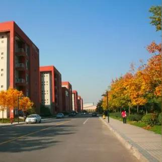 福建财会管理怎么样