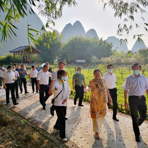 桂林市有什么企业