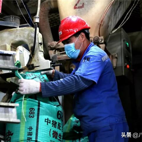 南宁双汇厂的相关长尾关键词有哪些