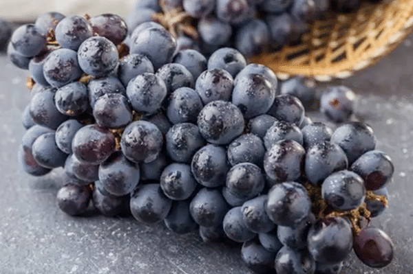 秋天吃葡萄有什么好处