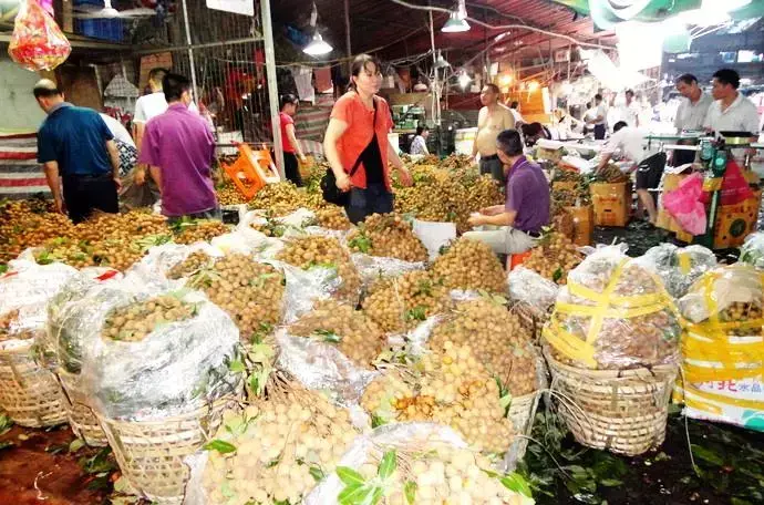 如何可以快速做副业挣钱 每天可以做几个副业挣钱