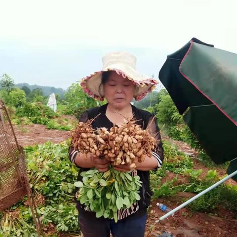 泉州市最大农批市场的长尾关键词有什么