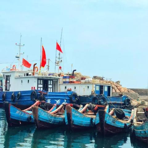 宁波市什么岛自然保护区