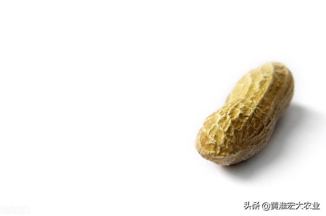 花生价格为什么持续下跌