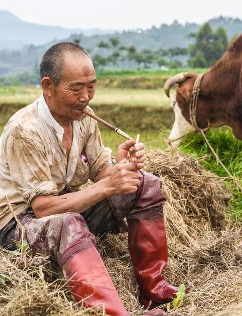 当今独居老人，意外的事故不断发生，给人们带来沉重的思考