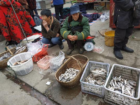 慈利县零溪镇赶场记：踏遍市场不歇脚，生意这边依旧好