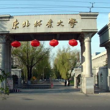 哈尔滨师范大学211相关长尾关键词有哪些