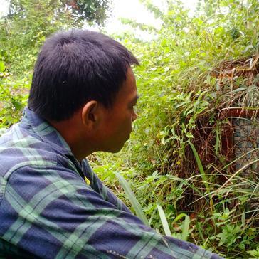 河南寻人启事网的相关长尾关键词有哪些