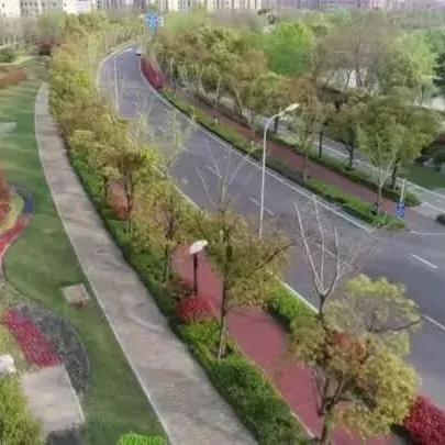 港闸区绿化分析南通长尾关键词有什么