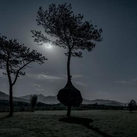 温州市哪里能看流星瀑布