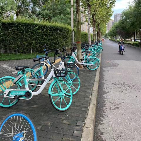 西安市哈罗单车怎么计费