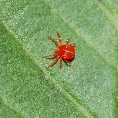 铜仁大龙天气预报的长尾关键词有什么