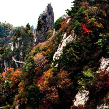 老君山位于河南哪个县城