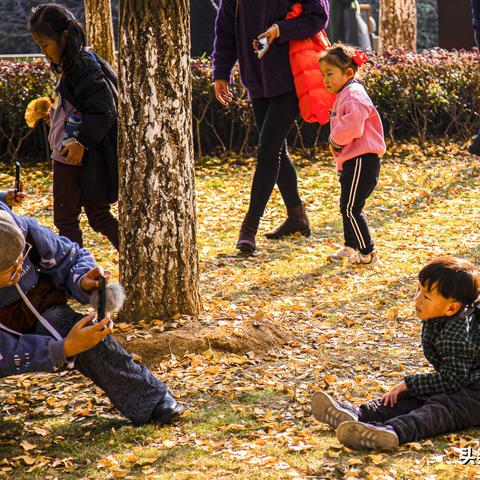 宁波市哪个地方有银杏树