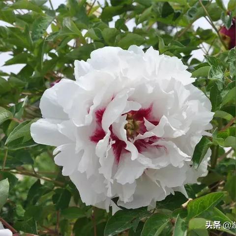 洛阳和兰州哪个好玩？