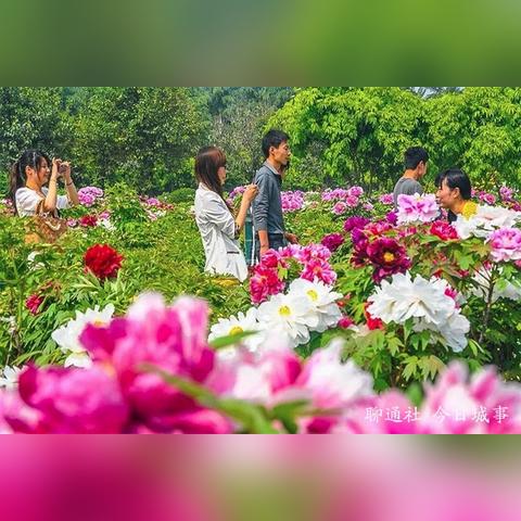 菏泽市惠民消费季的长尾关键词有什么