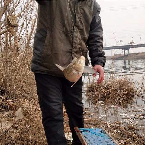 济南东边买观赏鱼哪里比较好？